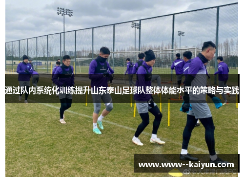通过队内系统化训练提升山东泰山足球队整体体能水平的策略与实践