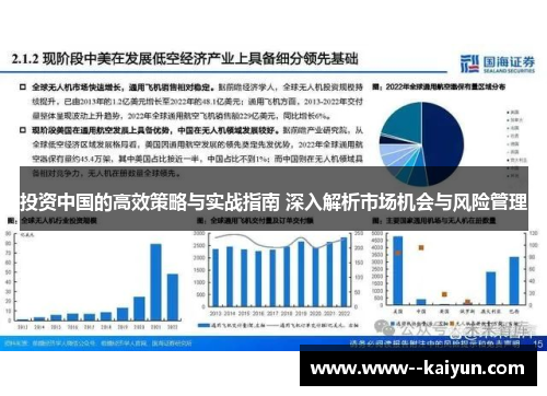 投资中国的高效策略与实战指南 深入解析市场机会与风险管理