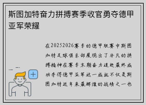 斯图加特奋力拼搏赛季收官勇夺德甲亚军荣耀